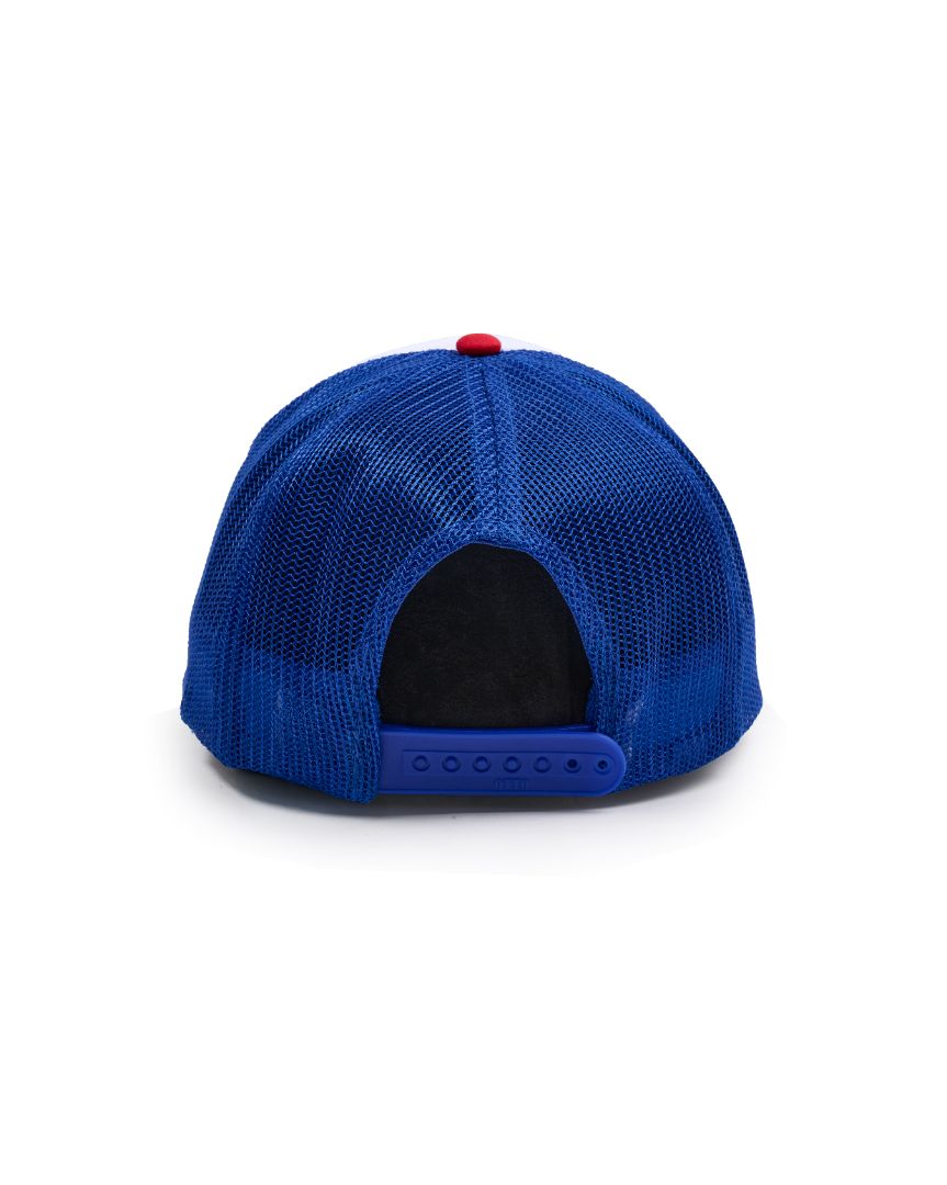 Dreamer Department Patriot Trucker Hat
