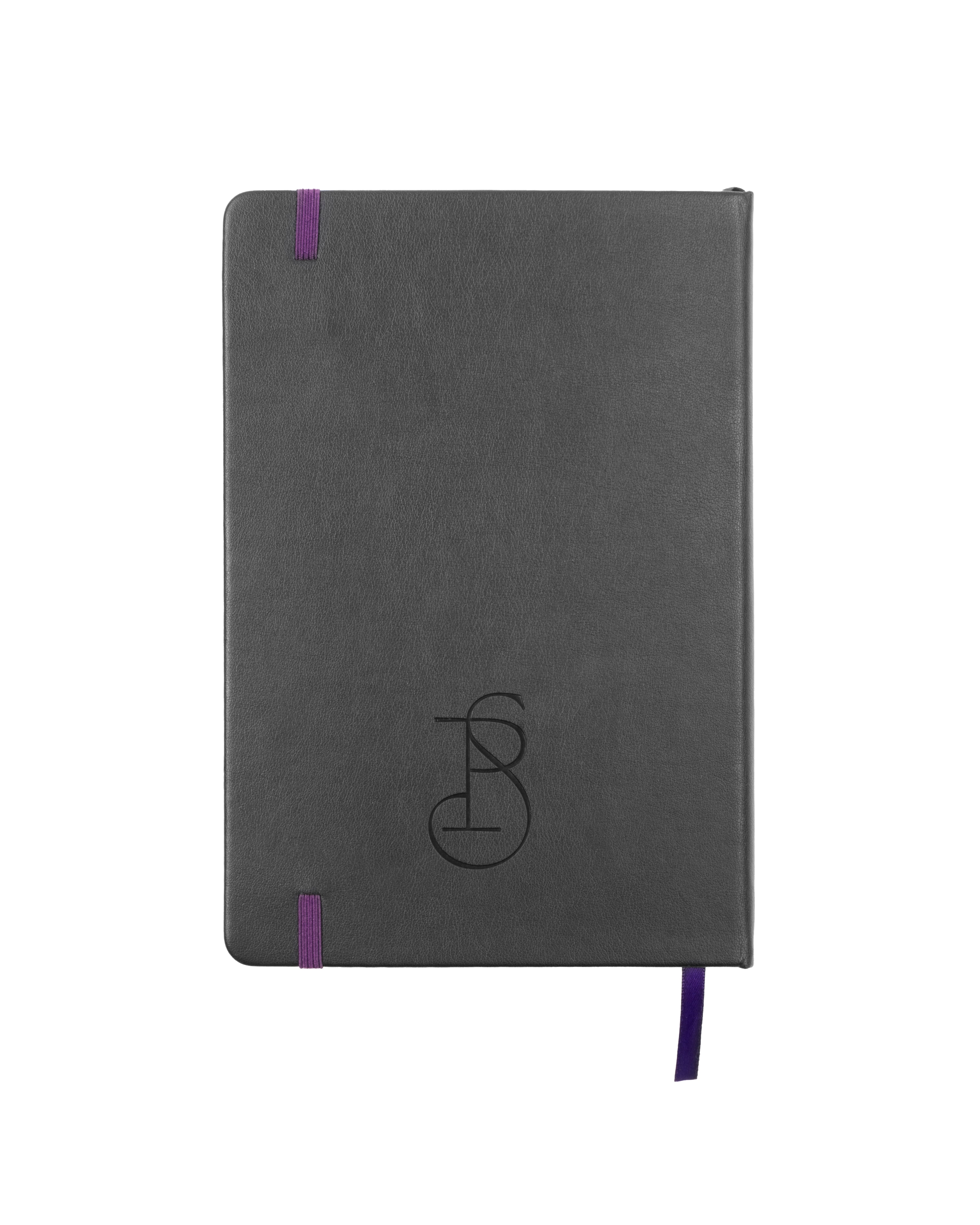 Sandlot 2025 Notebook